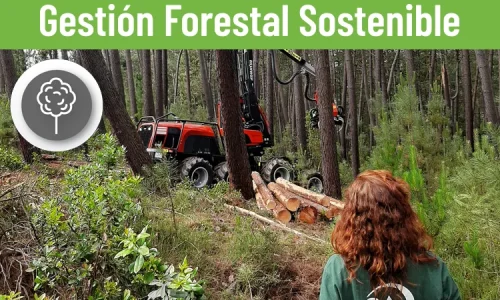 Gestión Forestal Sostenible PEFC